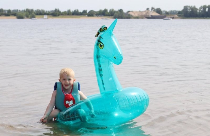 Camping voor kinderen arnhem